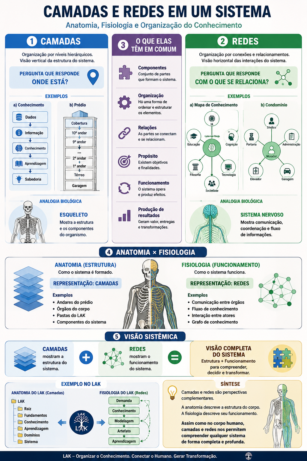 Infograma comparando camadas e redes em um sistema, com analogia entre anatomia e fisiologia.